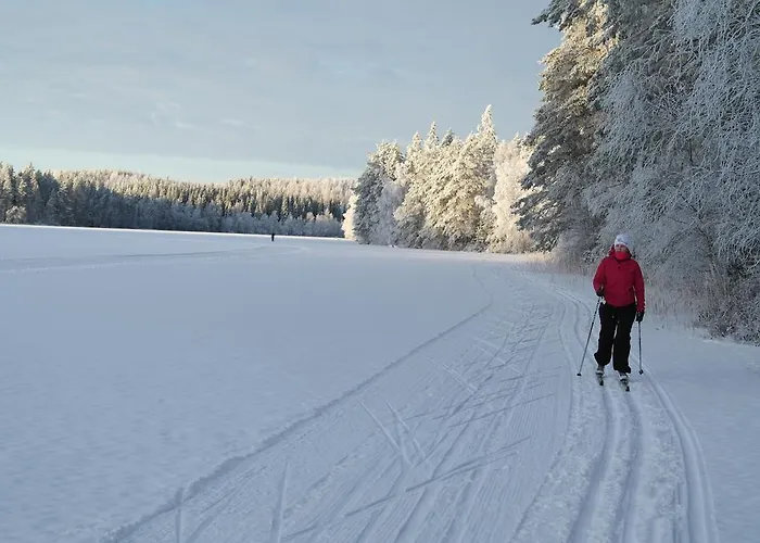 Villa Huvilaranta Isojarvi